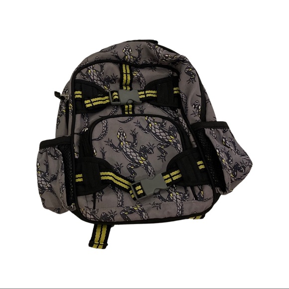 Pottery Barn Accessories Pottery Barn Kids Reptile Lizard Mini